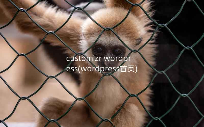 customizr wordpress(wordpress首页)