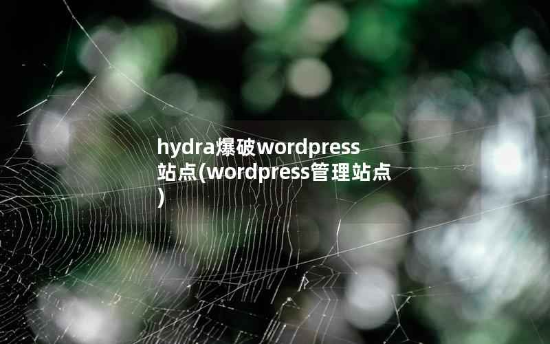 hydra爆破wordpress站点(wordpress管理站点)