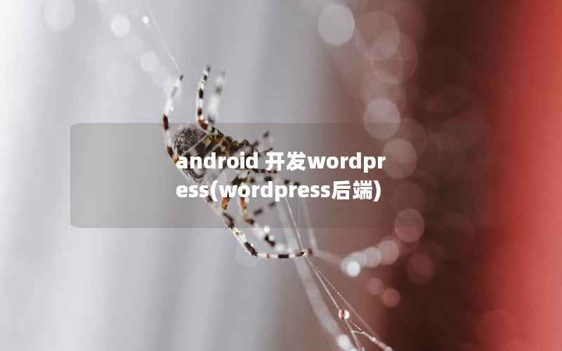 android 开发wordpress(wordpress后端)