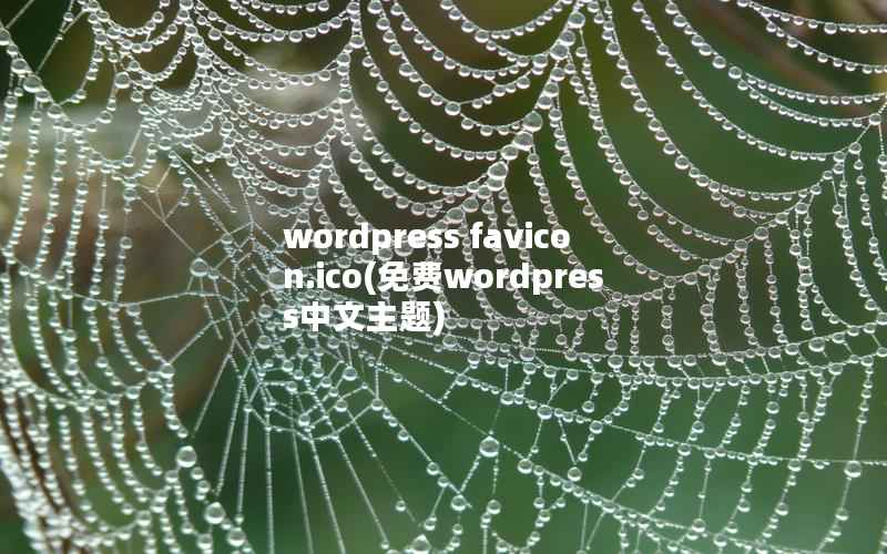wordpress favicon.ico(免费wordpress中文主题)