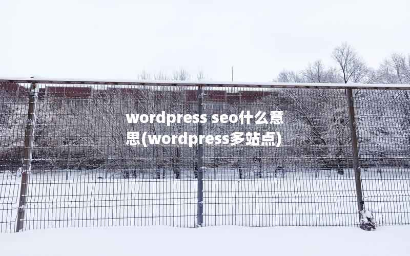 wordpress seo什么意思(wordpress多站点)