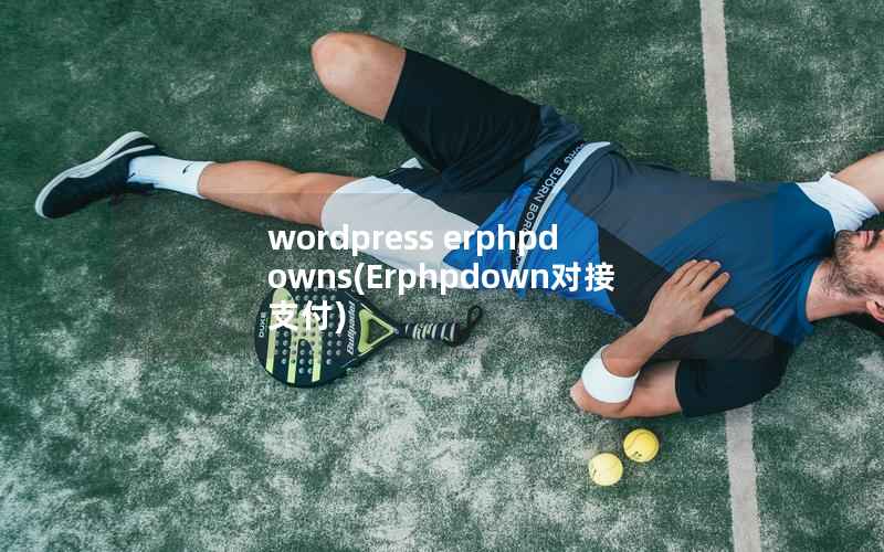 wordpress erphpdowns(Erphpdown对接支付)