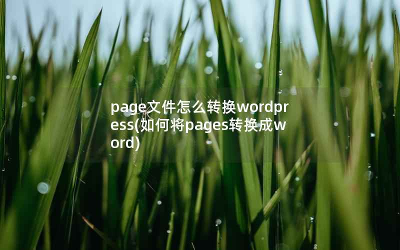 page文件怎么转换wordpress(如何将pages转换成word)