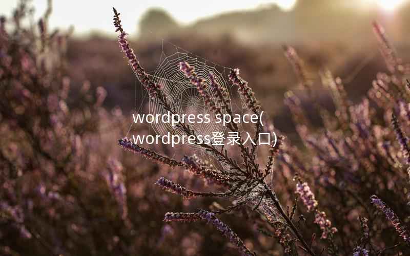 wordpress space(wordpress登录入口)