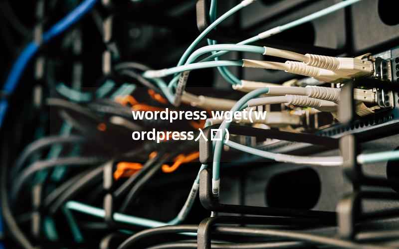 wordpress wget(wordpress入口)