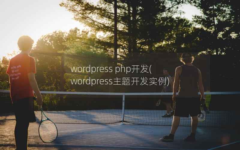 wordpress php开发(wordpress主题开发实例)