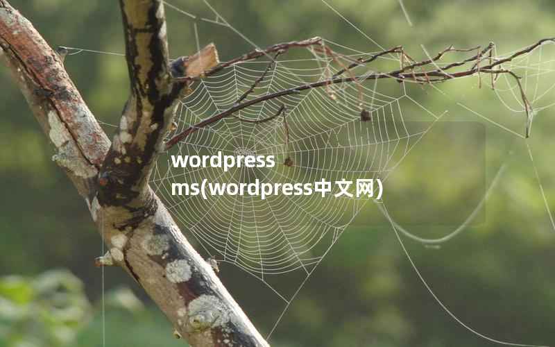 wordpress ms(wordpress中文网)