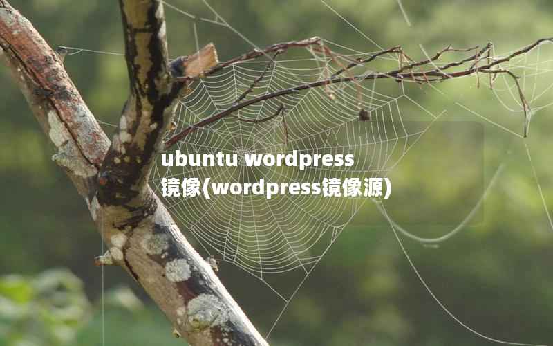 ubuntu wordpress镜像(wordpress镜像源)