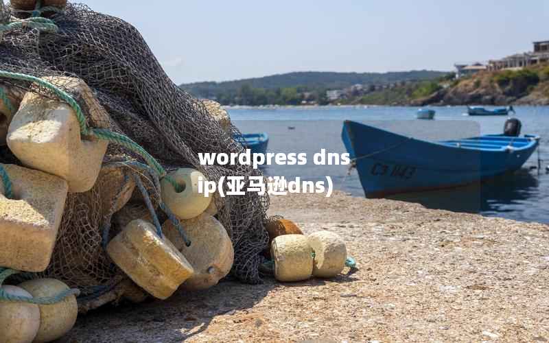 wordpress dns ip(亚马逊dns)