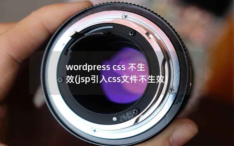 wordpress css 不生效(jsp引入css文件不生效)