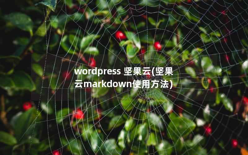 wordpress 坚果云(坚果云markdown使用方法)