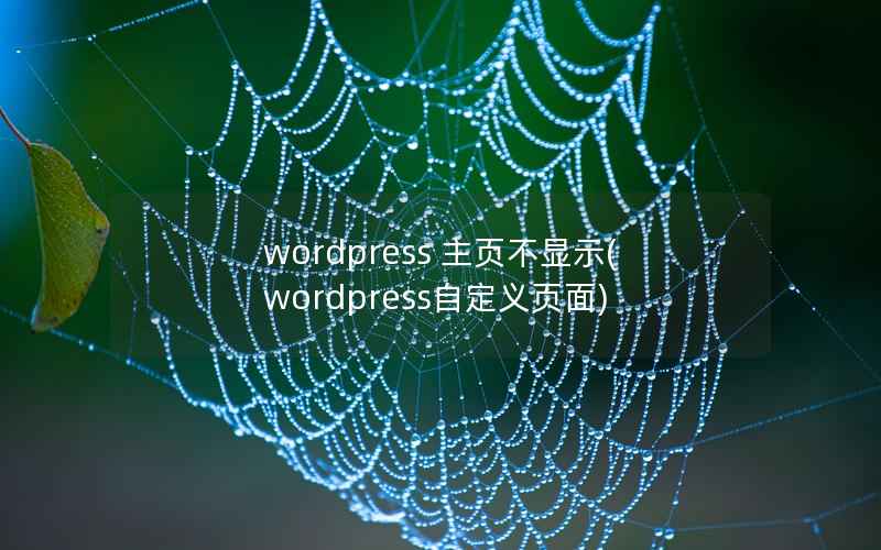 wordpress 主页不显示(wordpress自定义页面)