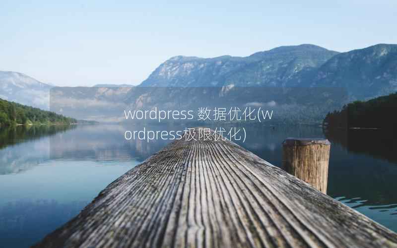 wordpress 数据优化(wordpress极限优化)