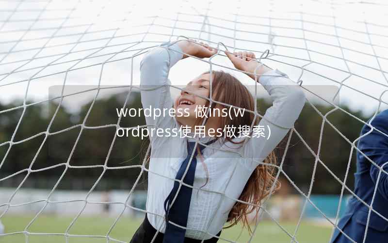 wordpress 做ins(wordpress使用es做搜索)