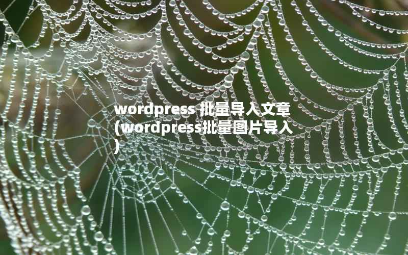 wordpress 批量导入文章(wordpress批量图片导入)