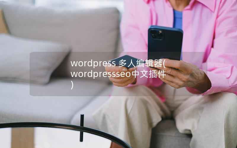 wordpress 多人编辑器(wordpressseo中文插件)