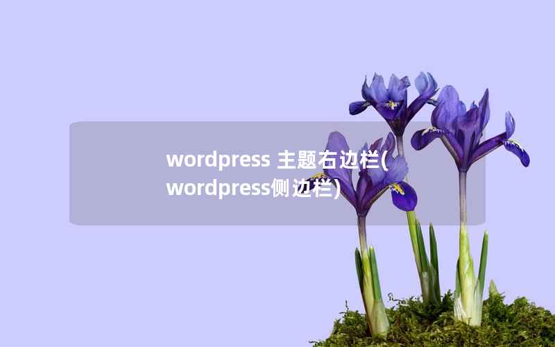 wordpress 主题右边栏(wordpress侧边栏)