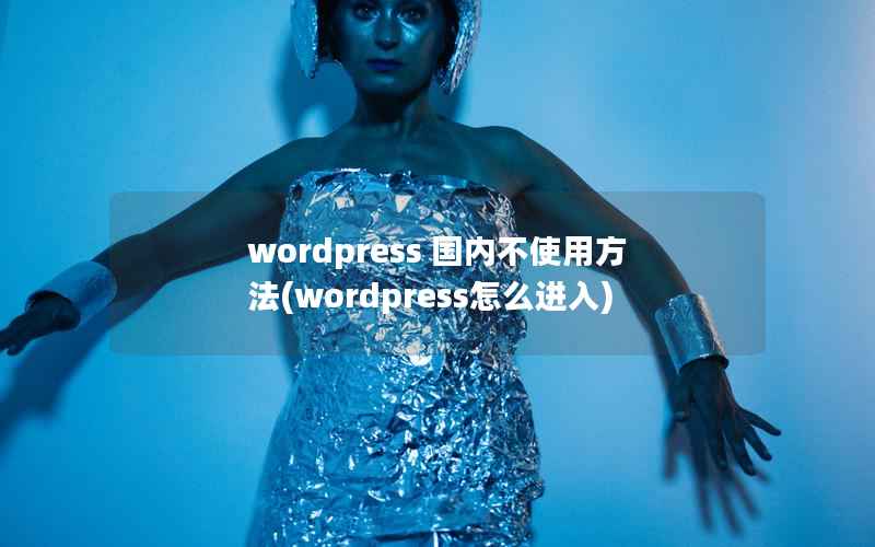 wordpress 国内不使用方法(wordpress怎么进入)