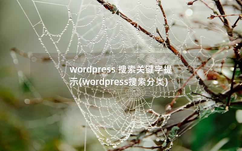 wordpress 搜索关键字提示(wordpress搜索分类)