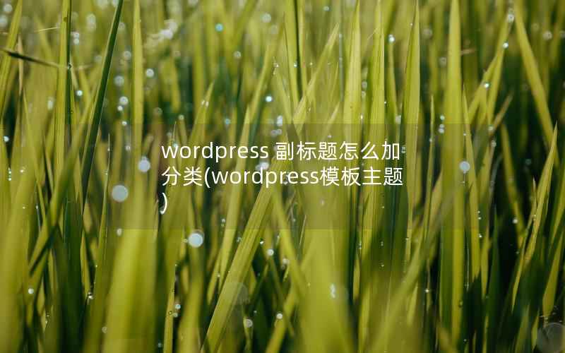 wordpress 副标题怎么加分类(wordpress模板主题)