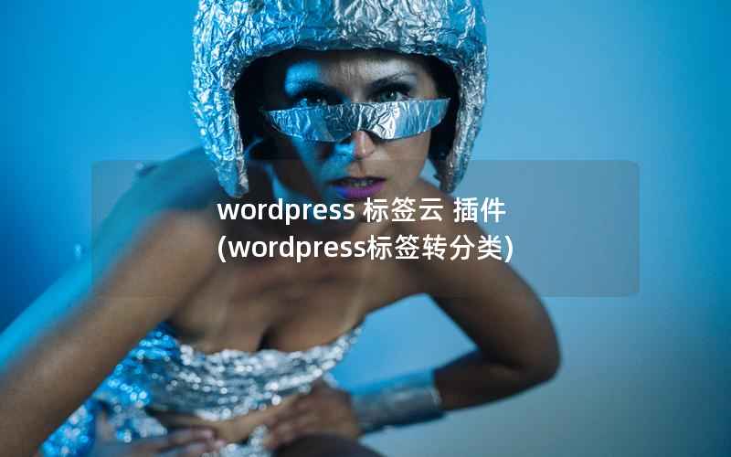 wordpress 标签云 插件(wordpress标签转分类)