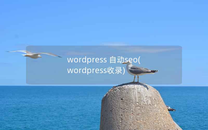 wordpress 自动seo(wordpress收录)