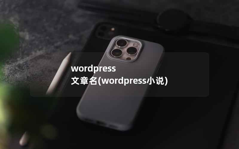 wordpress 文章名(wordpress小说)