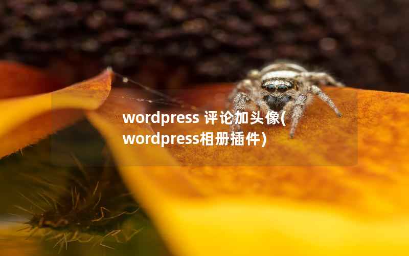 wordpress 评论加头像(wordpress相册插件)