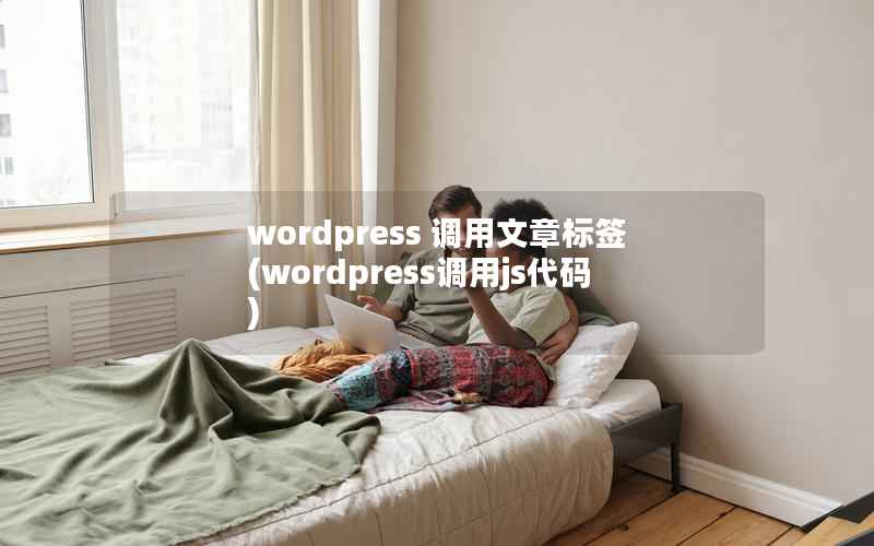 wordpress 调用文章标签(wordpress调用js代码)