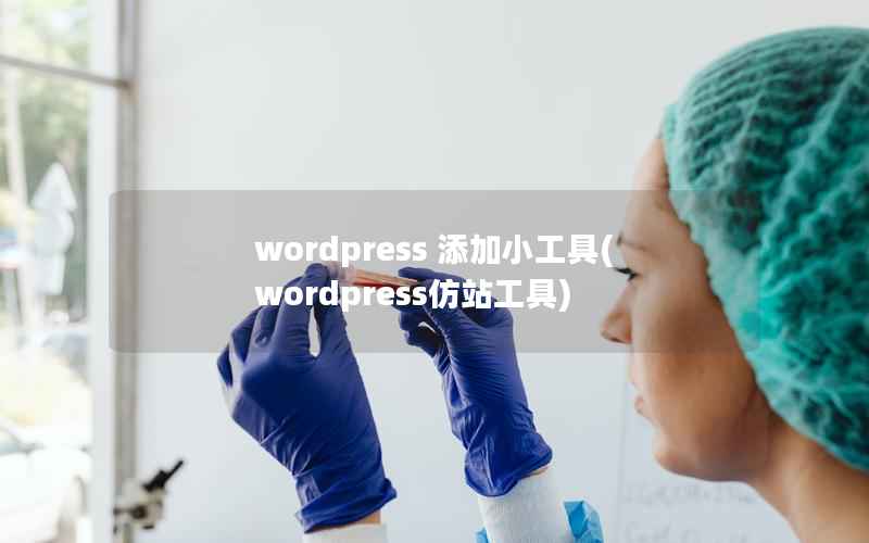 wordpress 添加小工具(wordpress仿站工具)