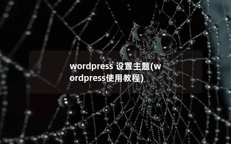 wordpress 设置主题(wordpress使用教程)