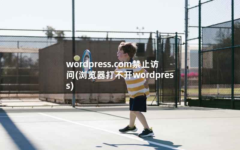 wordpress.com禁止访问(浏览器打不开wordpress)