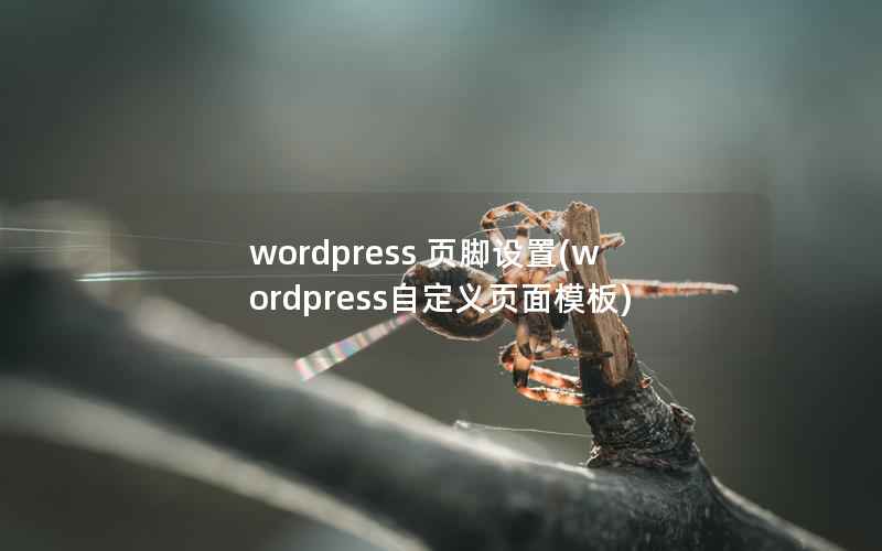 wordpress 页脚设置(wordpress自定义页面模板)