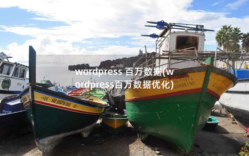 wordpress 百万数据(wordpress百万数据优化)