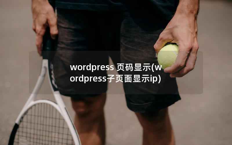 wordpress 页码显示(wordpress子页面显示ip)