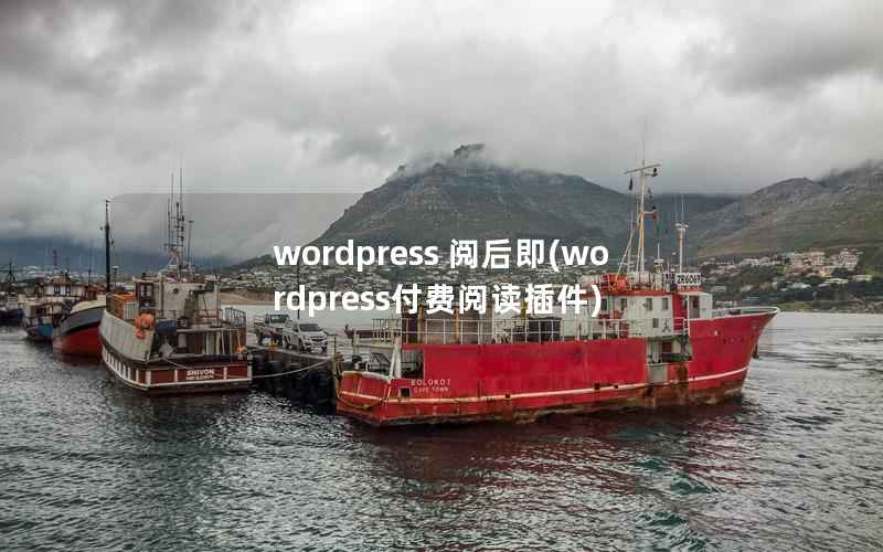 wordpress 阅后即(wordpress付费阅读插件)