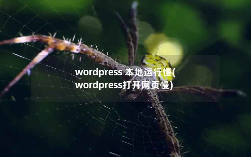 wordpress 本地运行慢(wordpress打开网页慢)