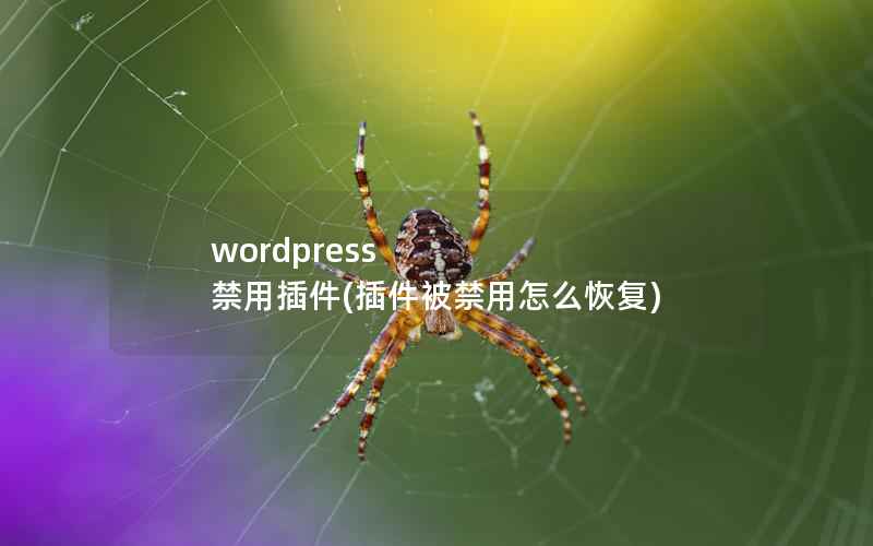 wordpress 禁用插件(插件被禁用怎么恢复)