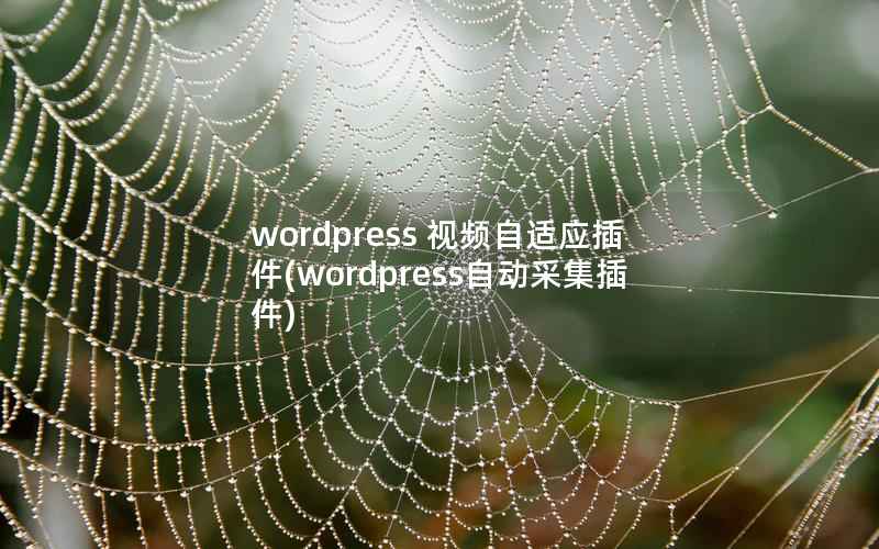 wordpress 视频自适应插件(wordpress自动采集插件)