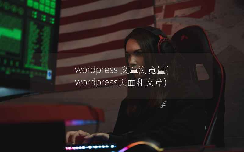 wordpress 文章浏览量(wordpress页面和文章)