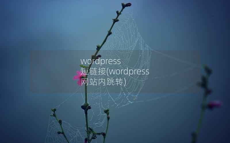 wordpress 短链接(wordpress 网站内跳转)