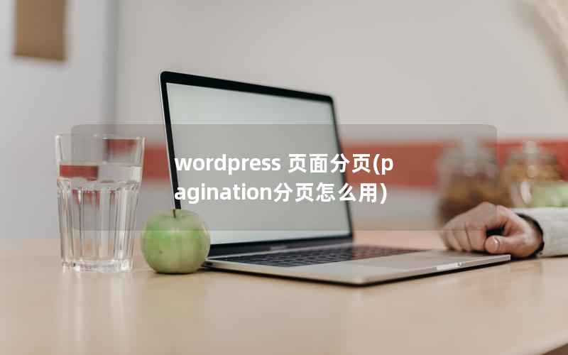 wordpress 页面分页(pagination分页怎么用)