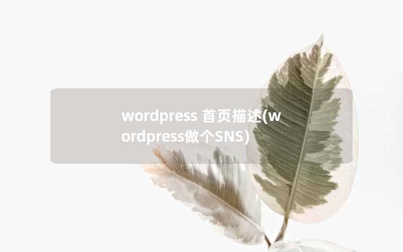 wordpress 首页描述(wordpress做个SNS)