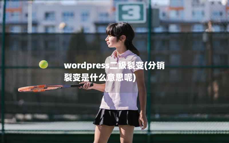 wordpress二级裂变(分销裂变是什么意思呢)