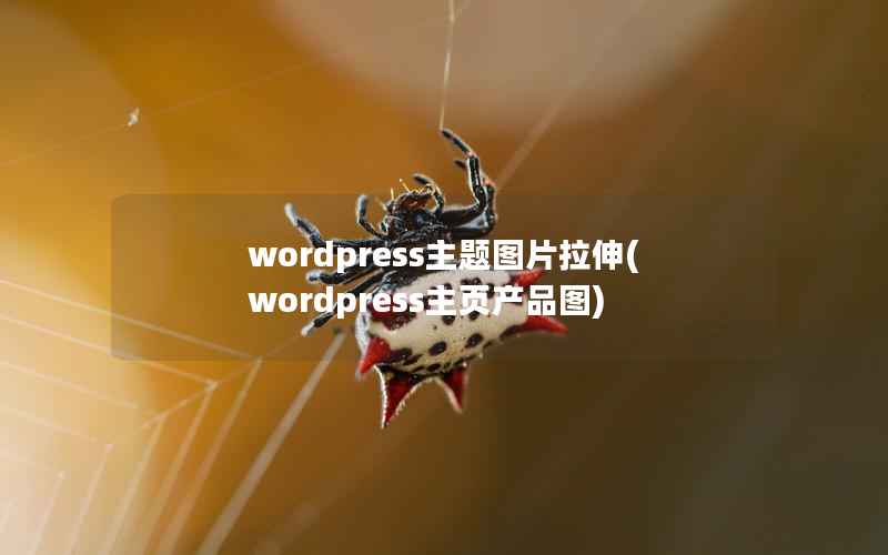 wordpress主题图片拉伸(wordpress主页产品图)