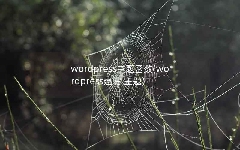 wordpress主题函数(wordpress建站 主题)