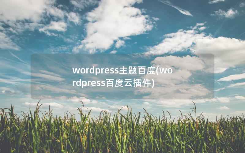 wordpress主题百度(wordpress百度云插件)