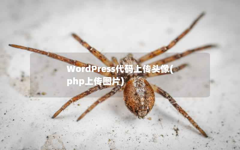 WordPress代码上传头像(php上传图片)