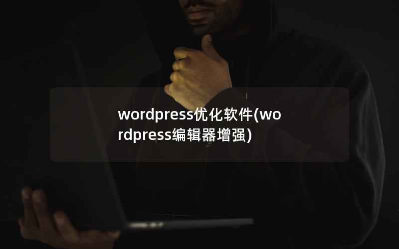 wordpress优化软件(wordpress编辑器增强)