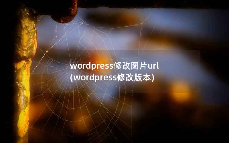 wordpress修改图片url(wordpress修改版本)